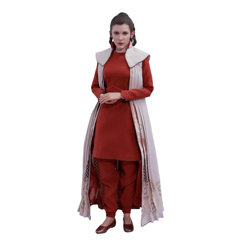 Leia Pic Princess Free Clipart HQ Transparent PNG Image