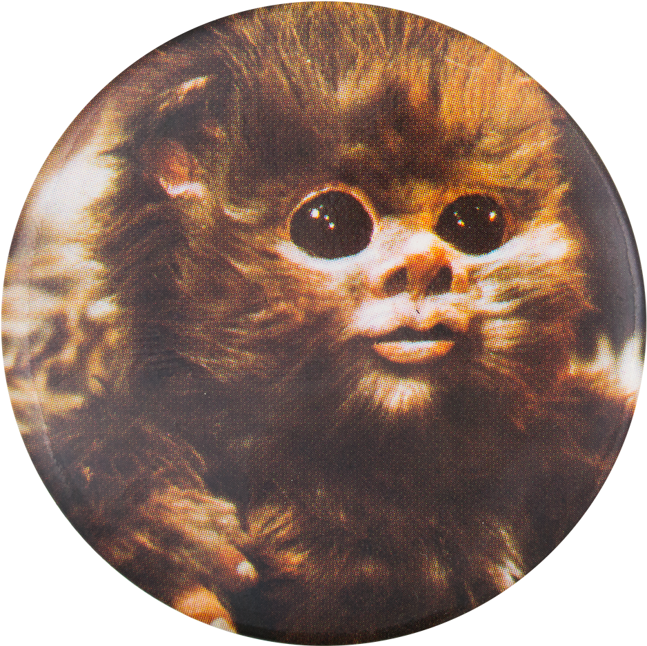 Ewok Free HQ Image Transparent PNG Image