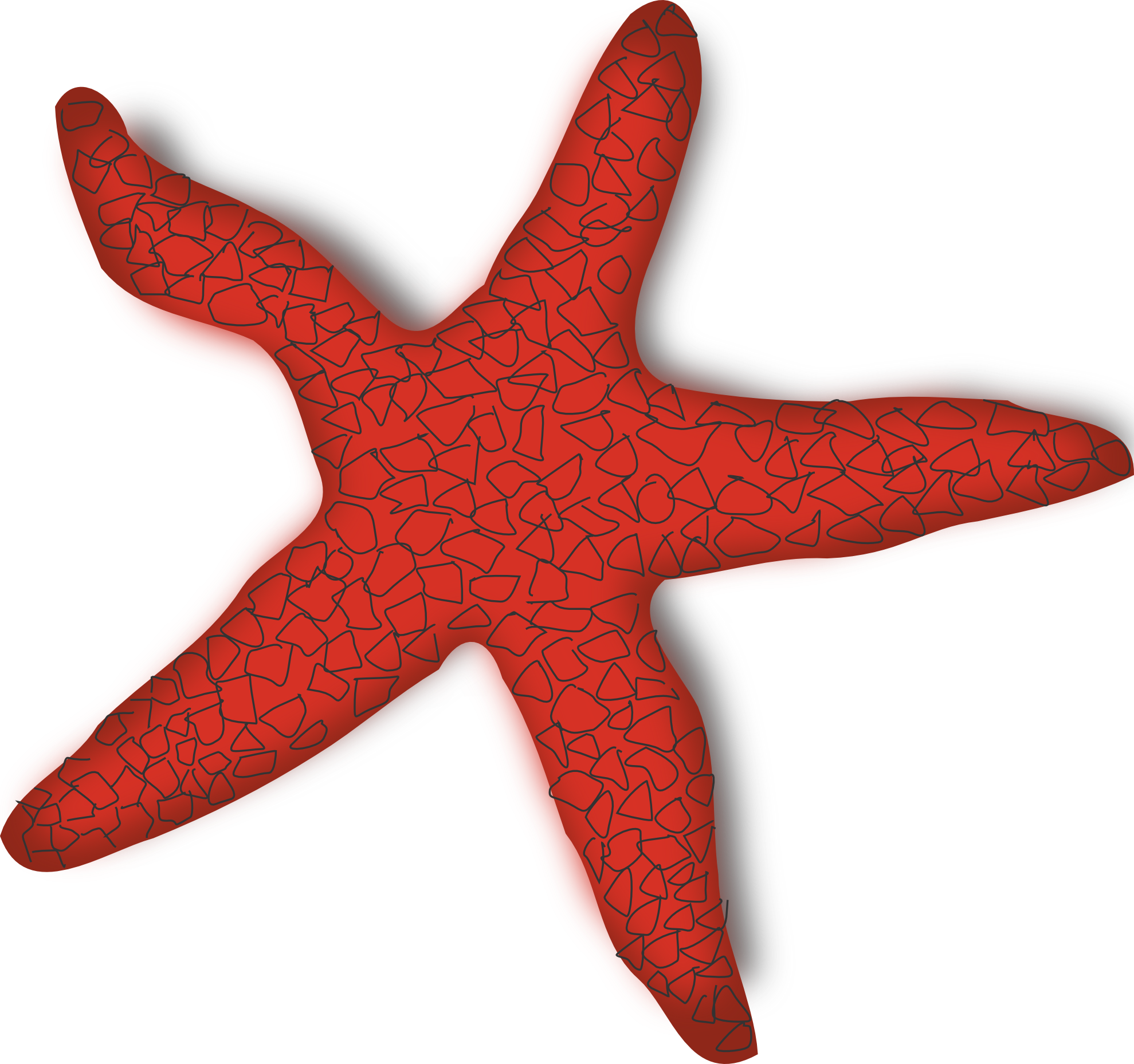 Starfish Png File Transparent PNG Image