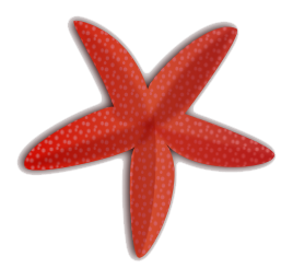 Starfish Free Download Png Transparent PNG Image