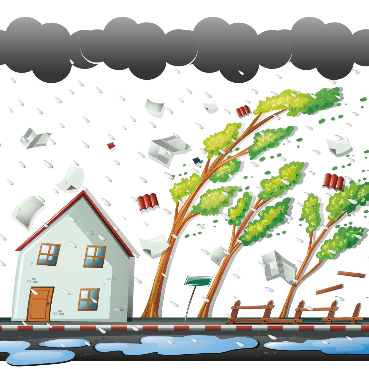 Rain Tree Art Wind Storm Free Frame Transparent PNG Image