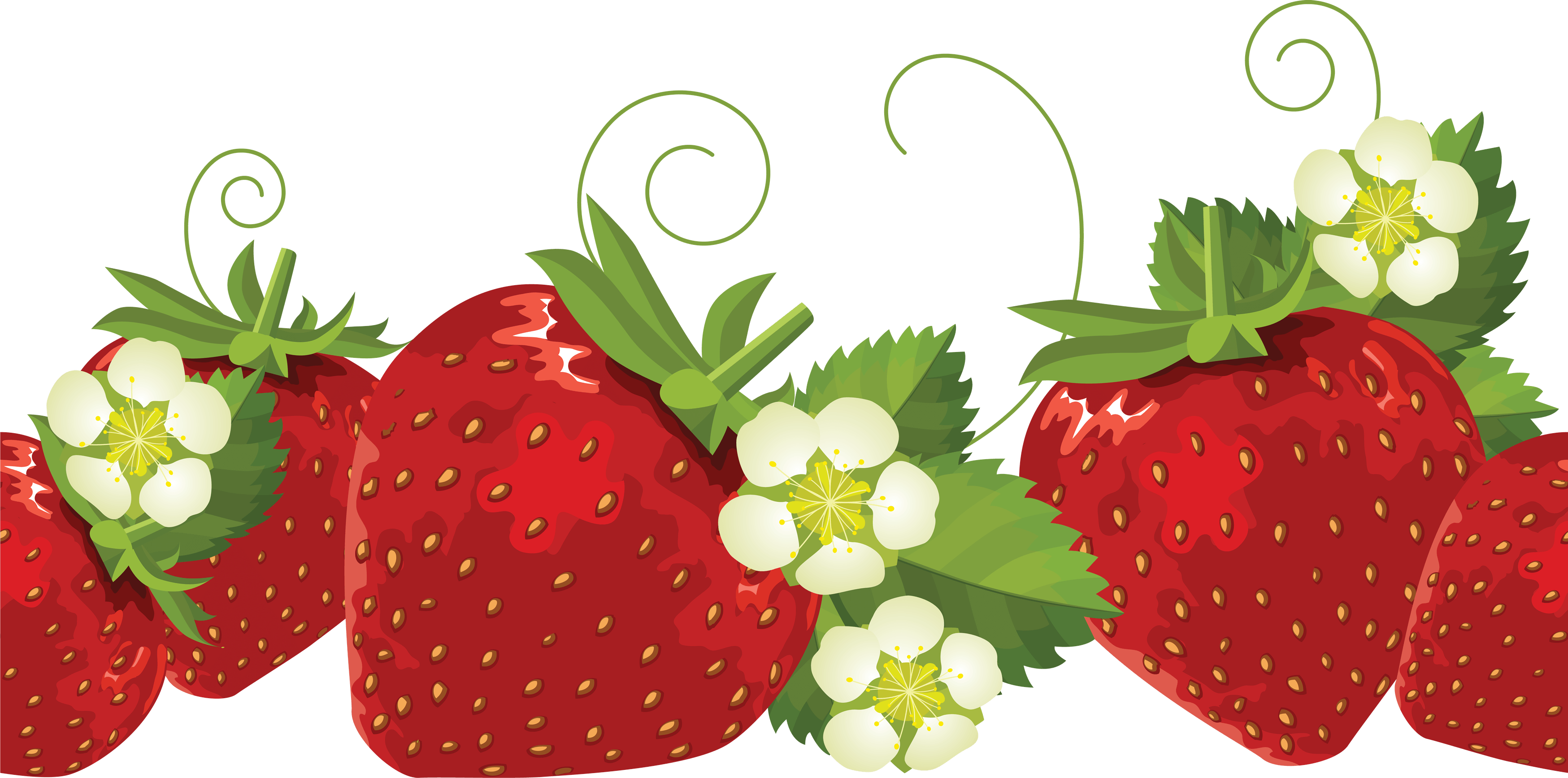 Strawberry Png Images Transparent PNG Image