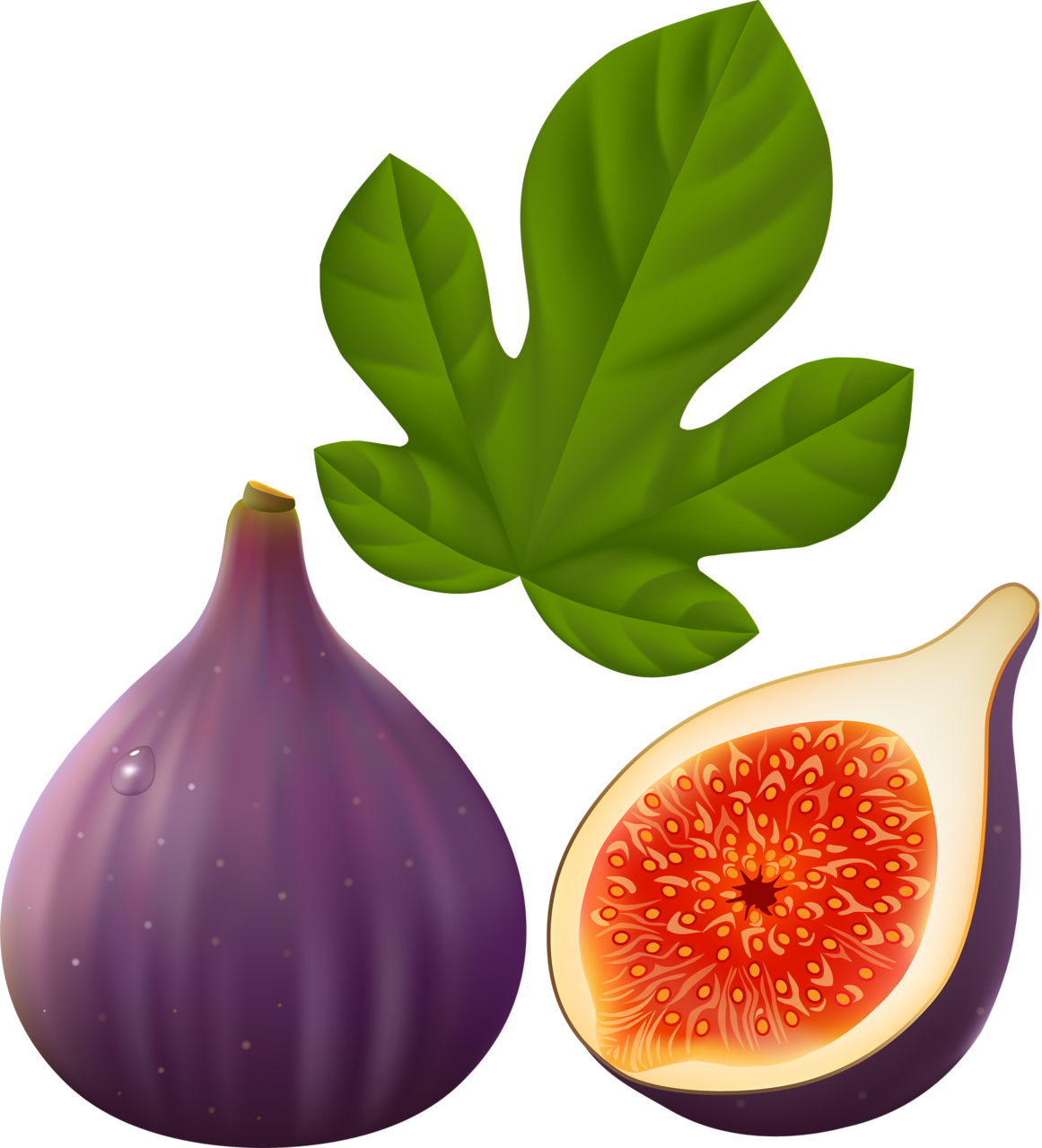 Fig HQ Image Free Transparent PNG Image