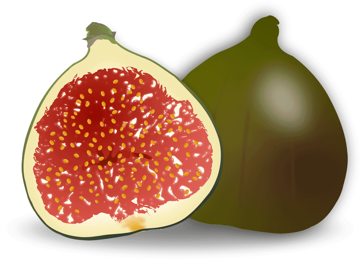 Fig PNG File HD Transparent PNG Image