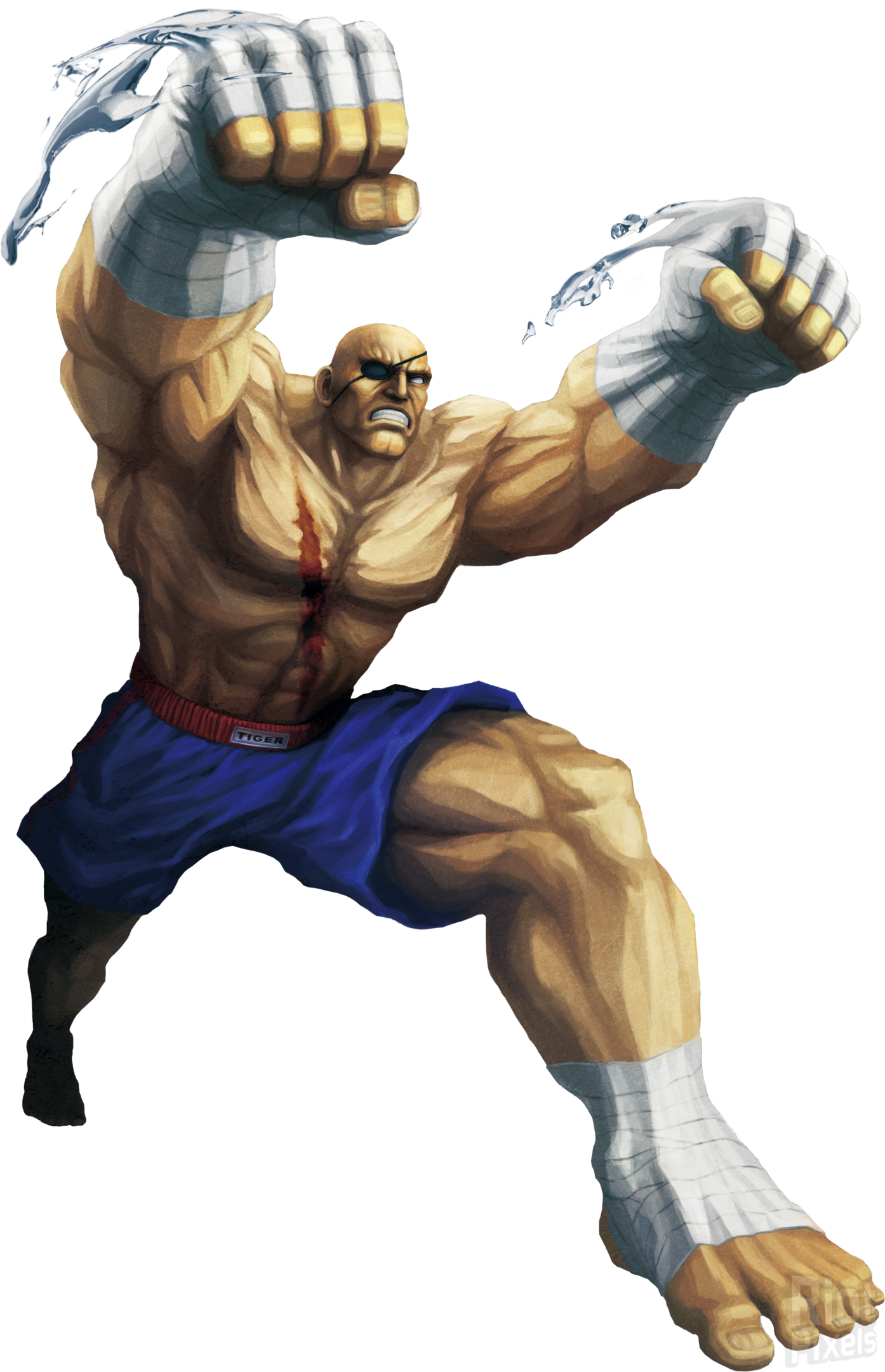 Warrior Fighter Character Tekken Fictional Ii Street Transparent PNG Image