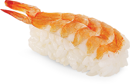 Sushi File Transparent PNG Image