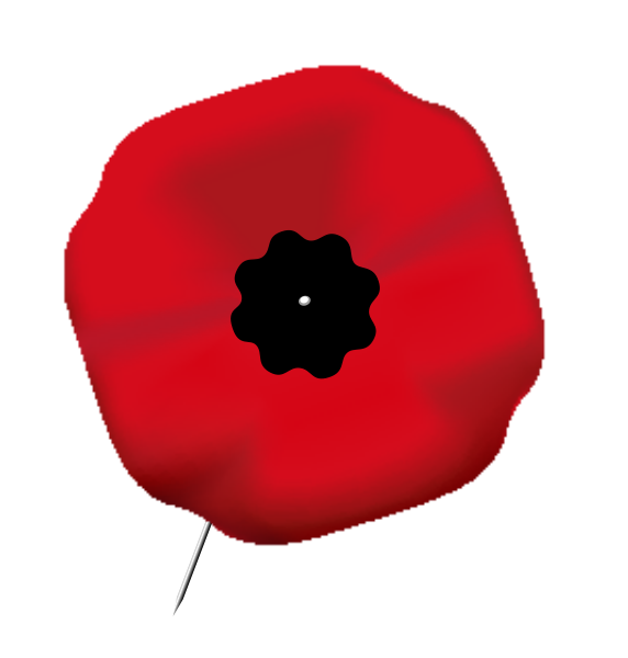 Flower Red Remembrance Poppy Day Armistice Transparent PNG Image