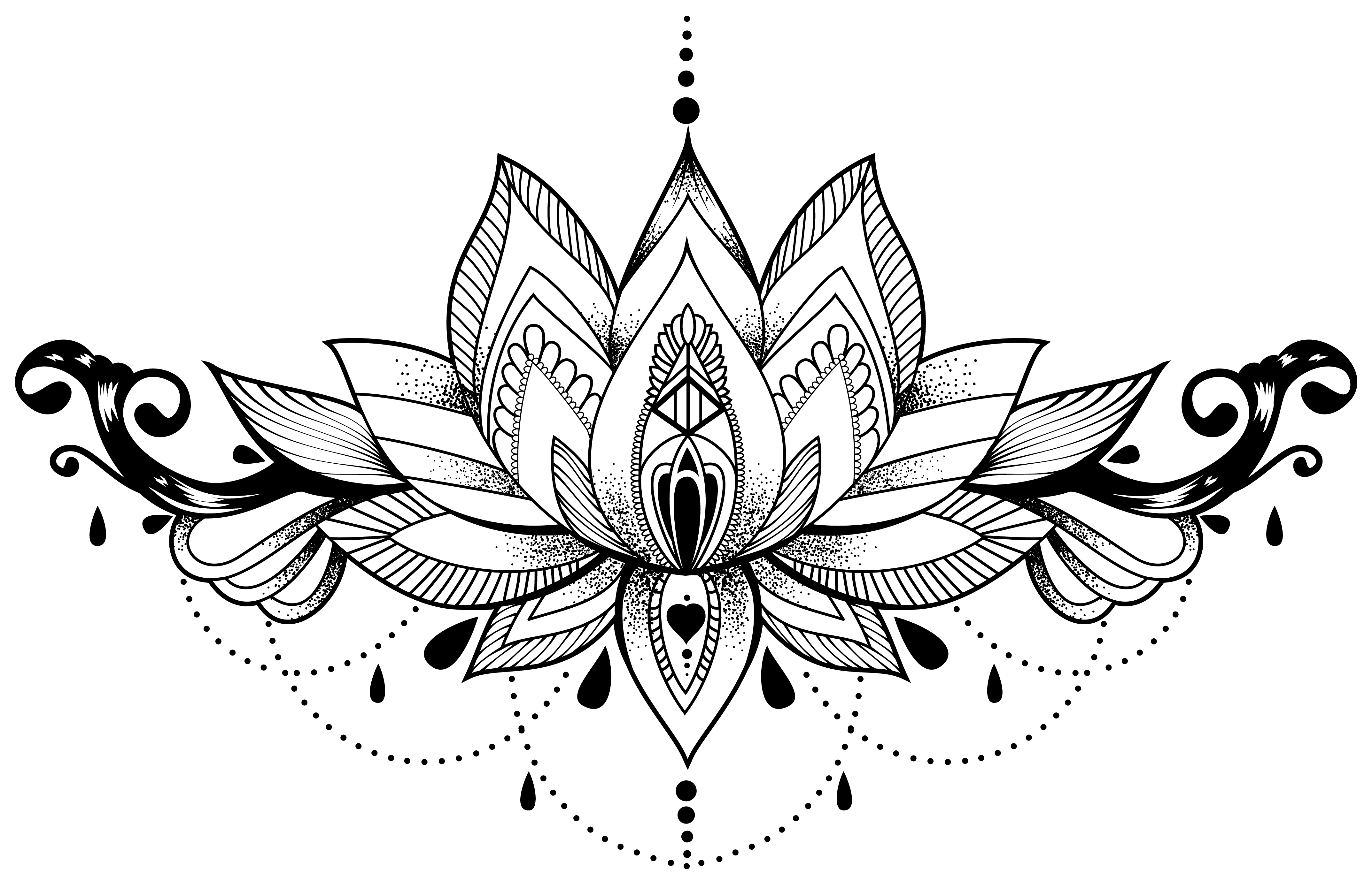 Nelumbo Nucifera Henna Mandalas Abziehtattoo Drawing Transparent PNG Image