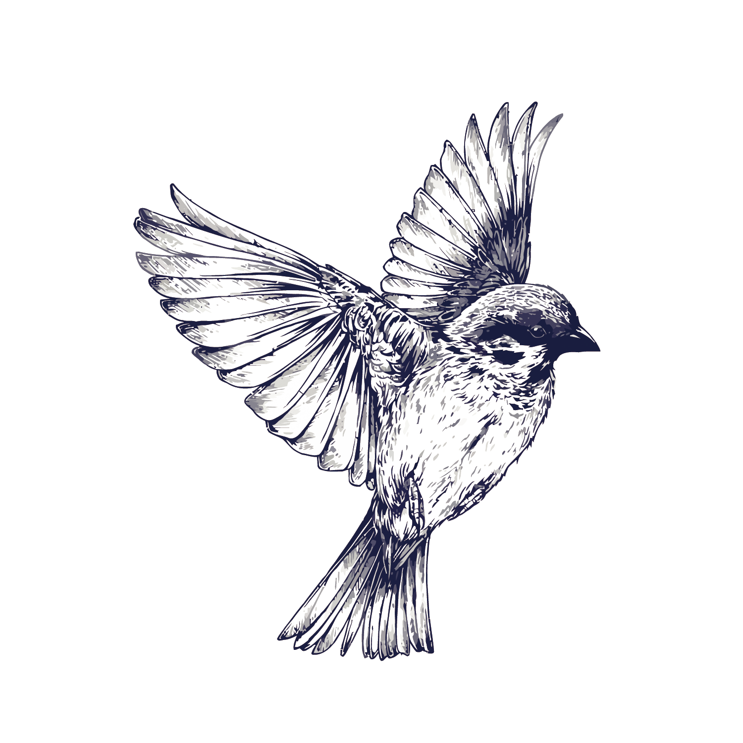 Tattoo Flight Sparrow Painted Drawing Vector Swallow Transparent PNG Image