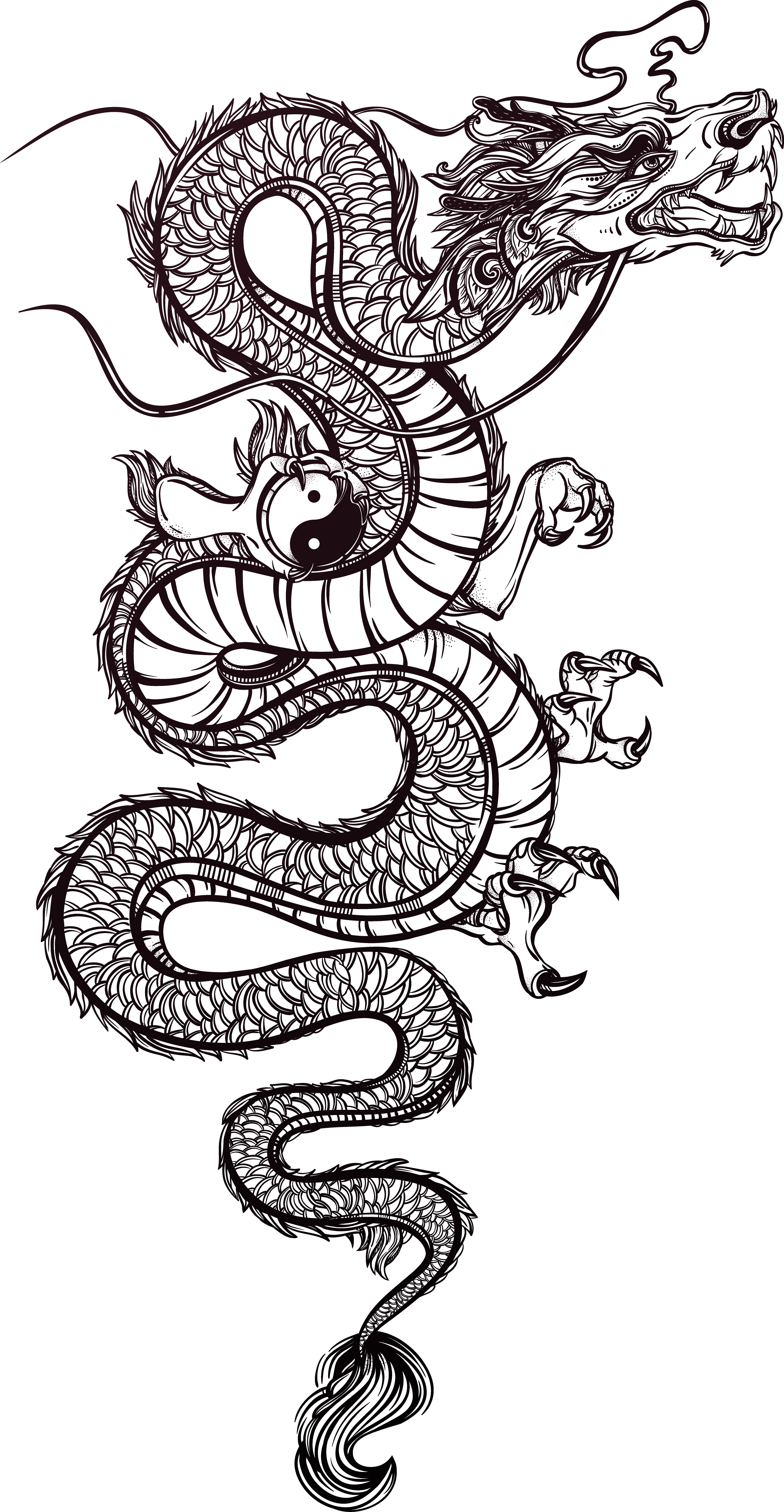 Tattoo Chinese Illustration Dragon Vector Hand-Painted Transparent PNG Image