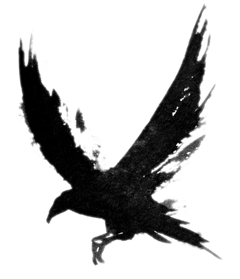 Tattoo Crow Flying Bird Common Drawing Raven Transparent PNG Image