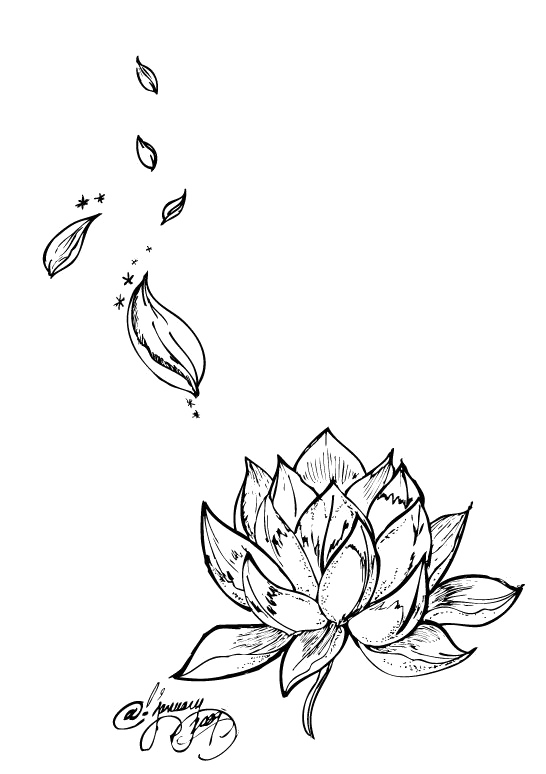 Tattoo Flower Nelumbo Nucifera Lotus Egyptian Drawing Transparent PNG Image