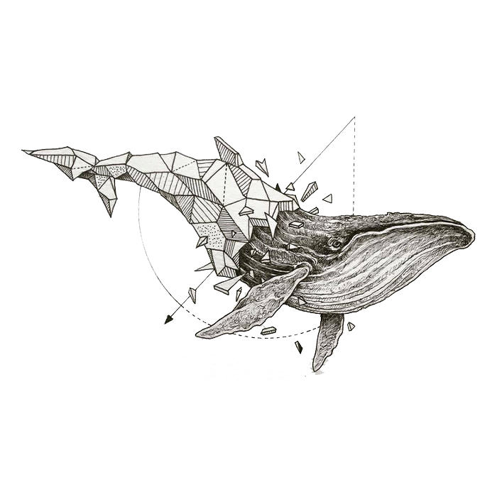 Whale Sketchbook Art Rosanes Geometry Of Stories: Transparent PNG Image