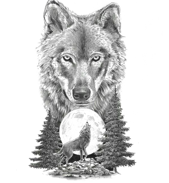 Gray Sketch Art Tattoo Artist Motion Wolf Transparent PNG Image