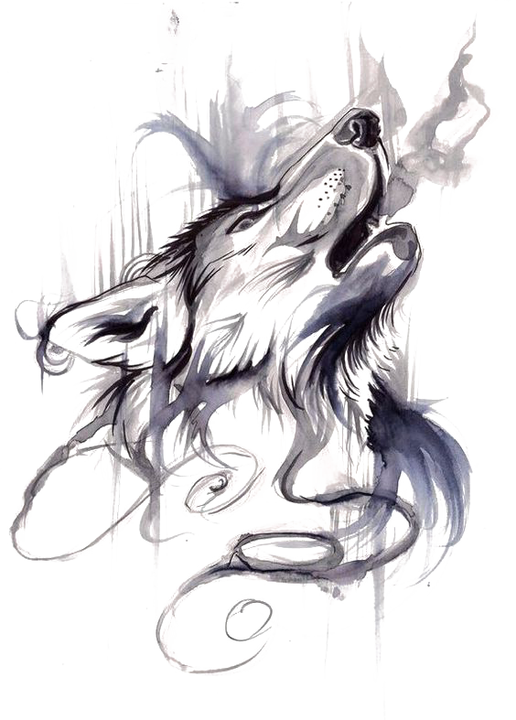 Gray Tattoo Flash Wolf Ink Drawing Transparent PNG Image