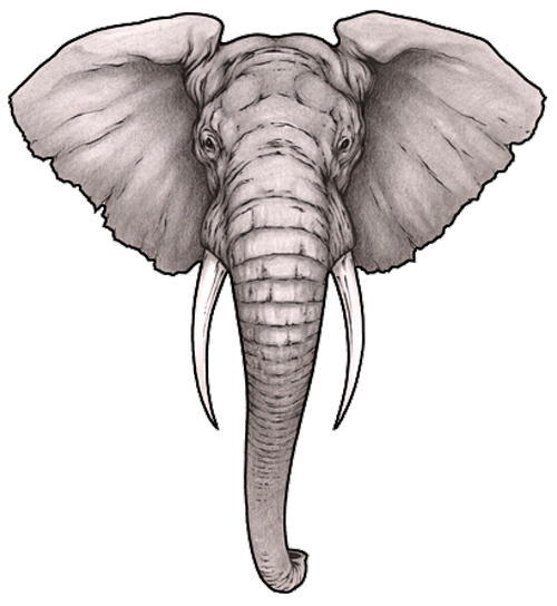 Tattoo Head Sleeve Artist Elephant Ink Transparent PNG Image