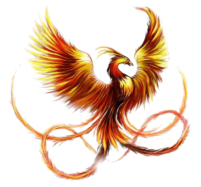 Tattoo Sleeve Phoenix Fenghuang Ink Firebird Transparent PNG Image