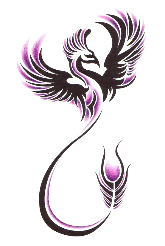 Tattoo Sleeve Phoenix Nz Studio Ink Transparent PNG Image