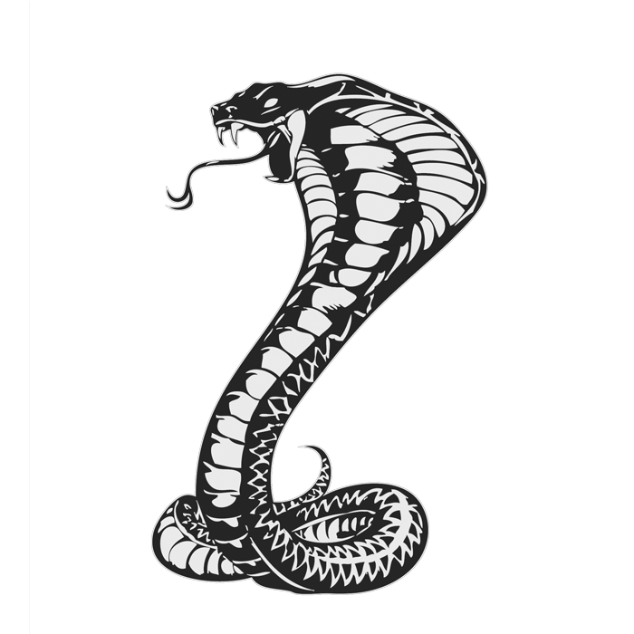 Cobras King Cobra Snakes Tattoo Snake Drawing Transparent PNG Image