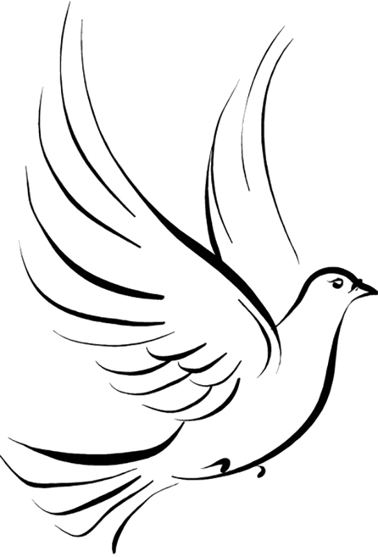 Tattoo Stencil Pigeon Pen Jane Drawing Transparent PNG Image