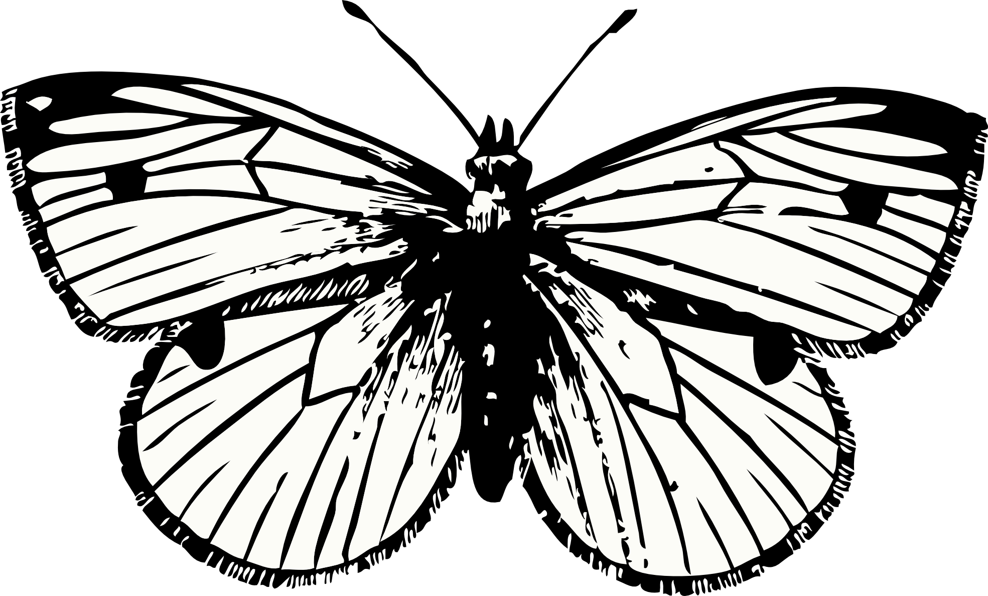 Butterfly Tattoo Png Transparent PNG Image