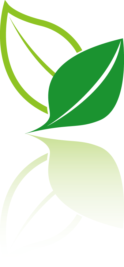 Leaf Tea Ideas Environmental Vector Design Logo Transparent PNG Image