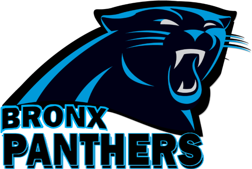 Panthers Carolina Free Transparent Image HQ Transparent PNG Image