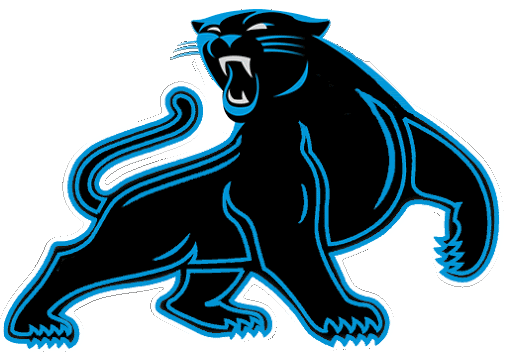 Picture Panthers Carolina PNG Image High Quality Transparent PNG Image