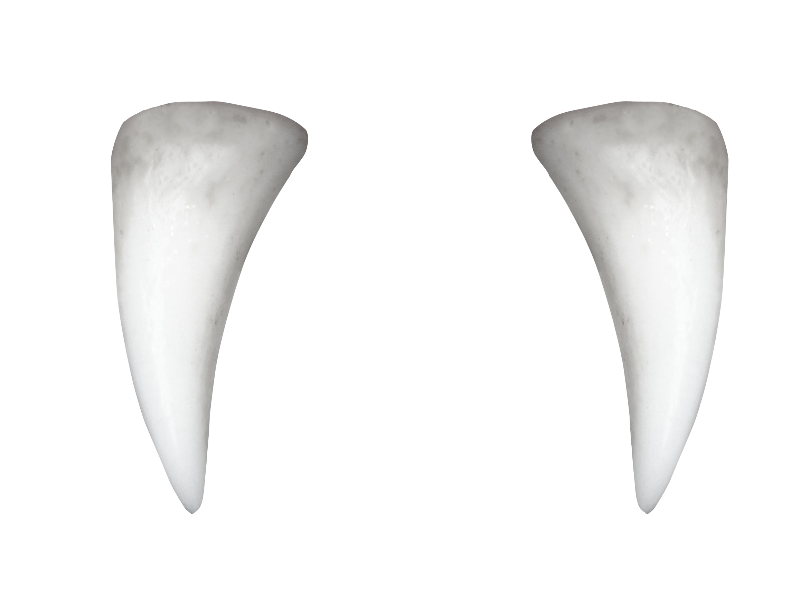 Pic Clean Tooth PNG Image High Quality Transparent PNG Image