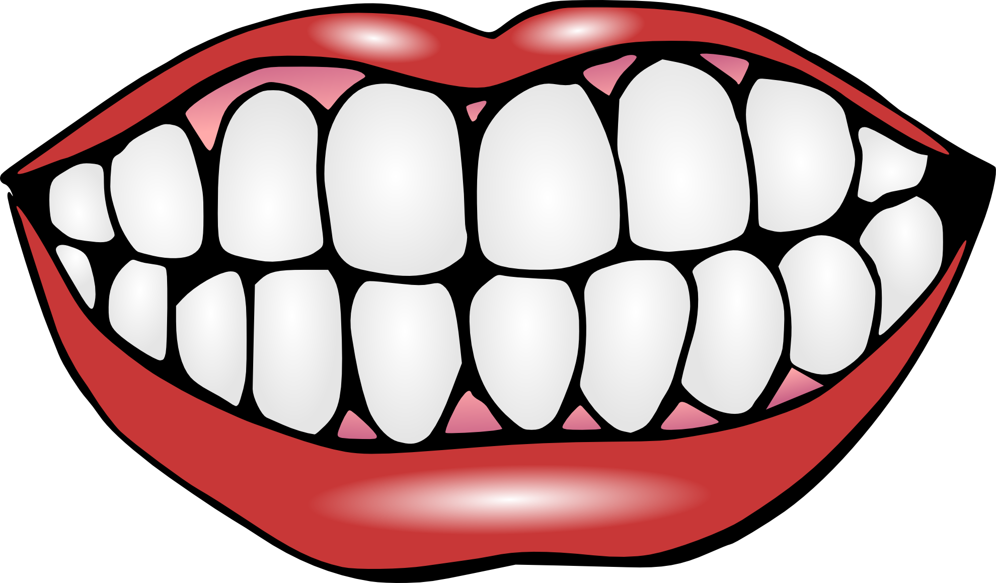 Photos Smiling Tooth Free HD Image Transparent PNG Image