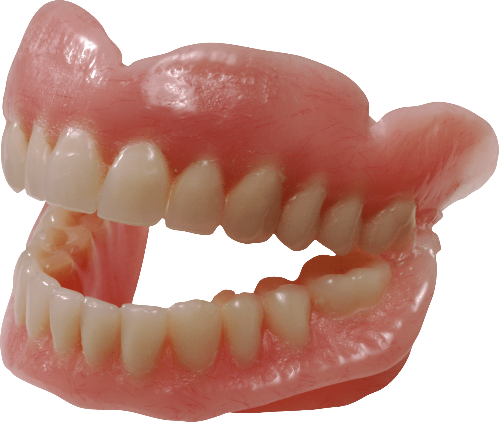 Tooth Free HD Image Transparent PNG Image