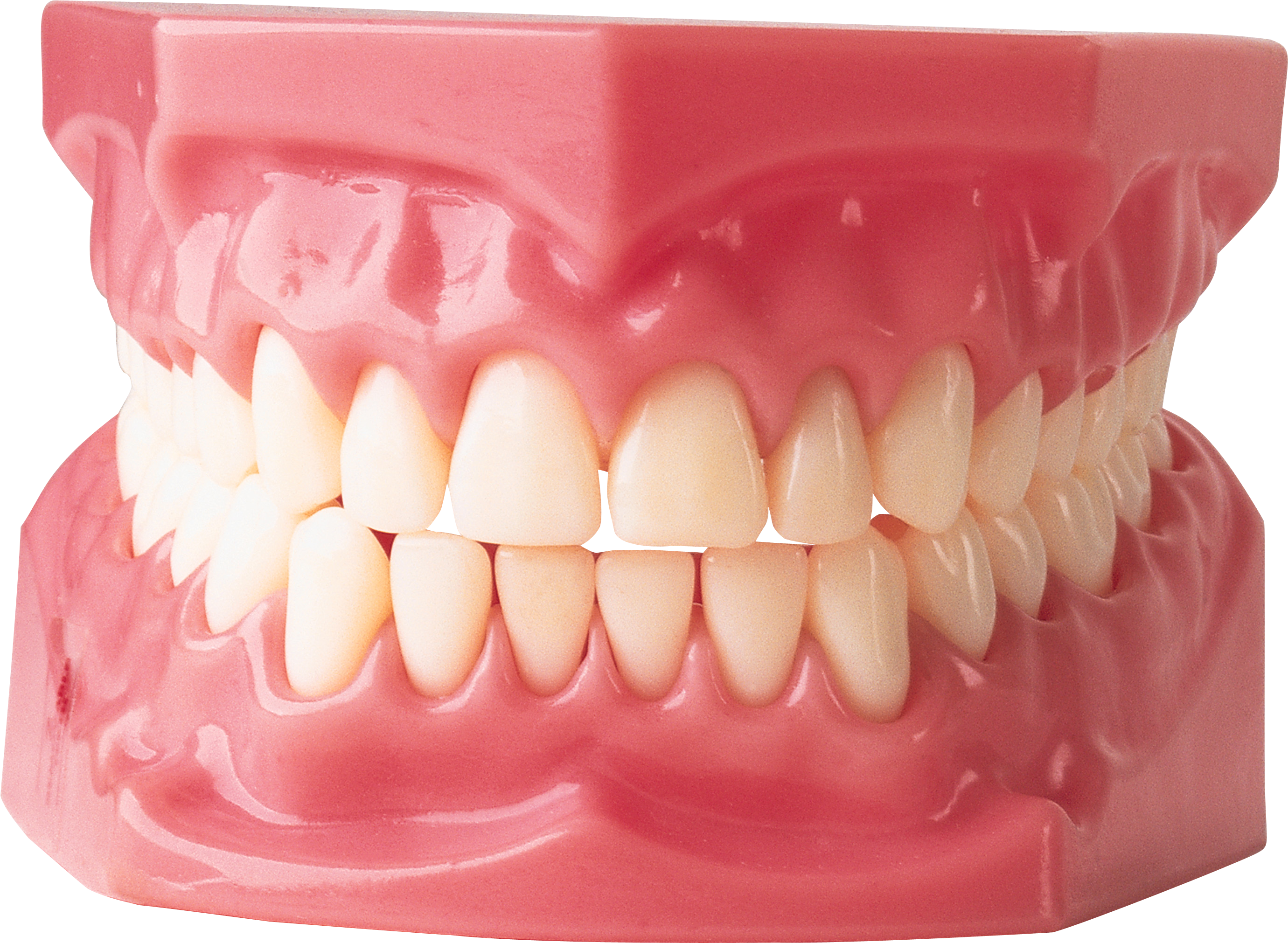 Picture Tooth Download HQ Transparent PNG Image