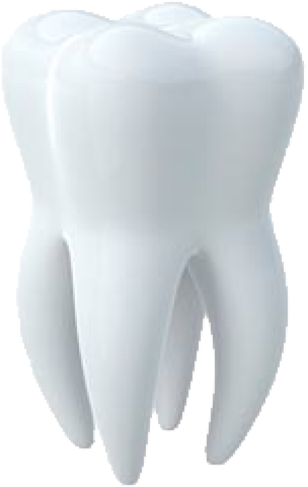 Picture White Tooth Free PNG HQ Transparent PNG Image