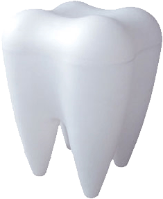 Tooth Png Image Transparent PNG Image