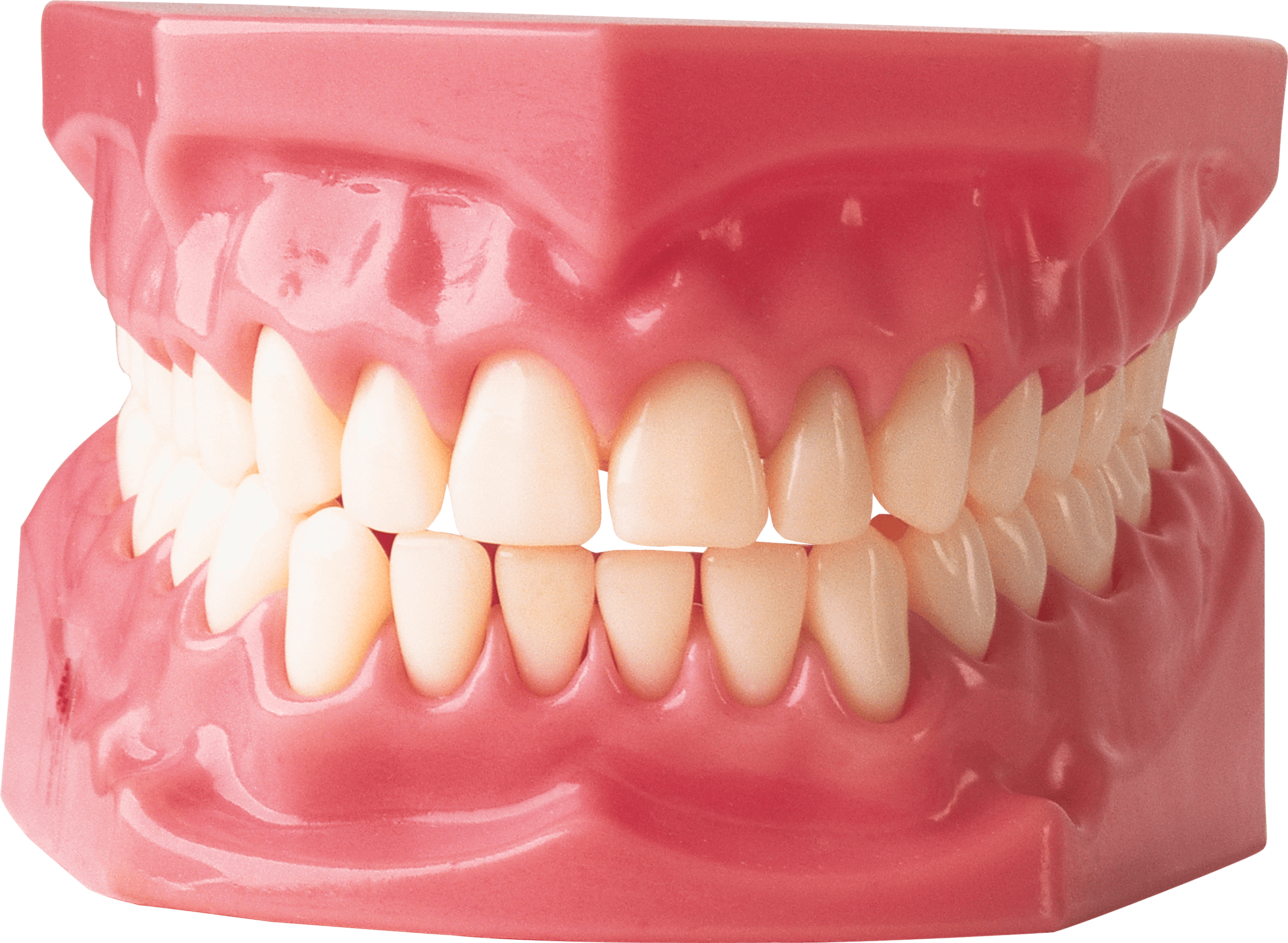 Teeth Png Image Transparent PNG Image