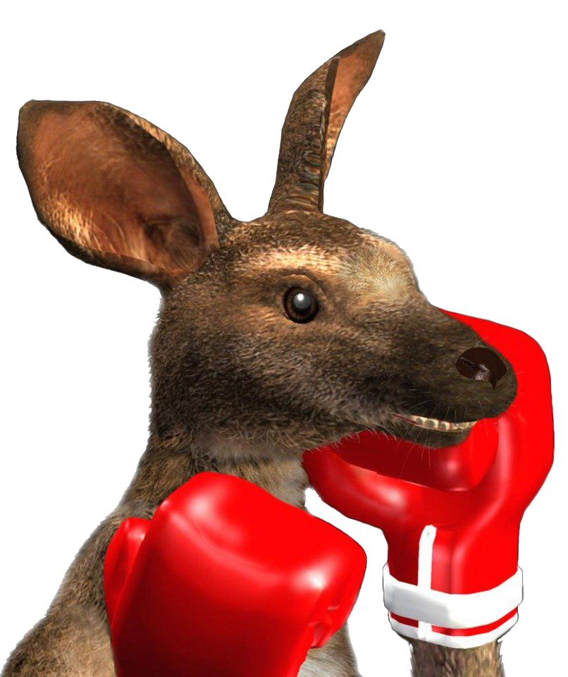 Photos Kangaroo Roger Download Free Image Transparent PNG Image