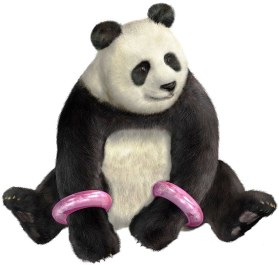 Tekken Panda Download HD Transparent PNG Image