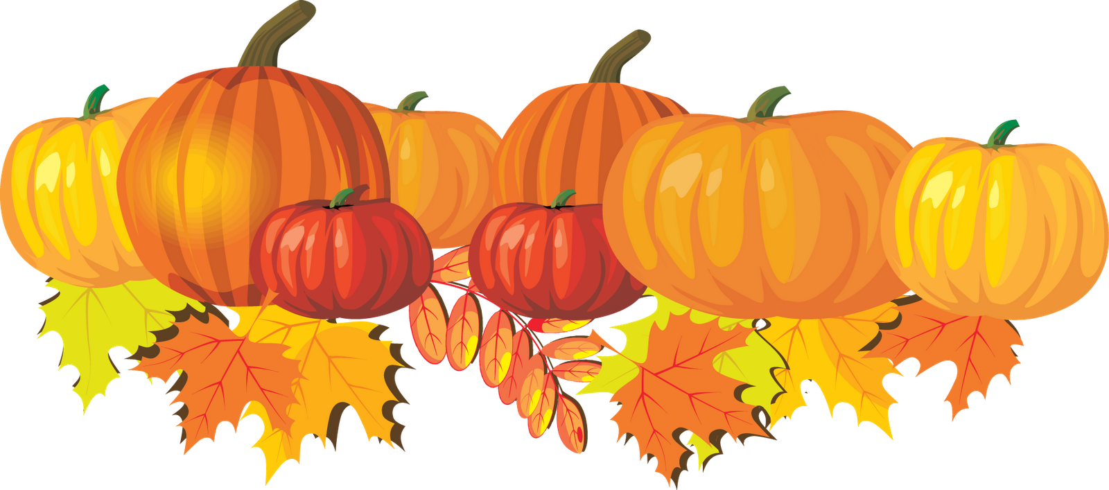 Thanksgiving Pumpkin Photos Transparent PNG Image