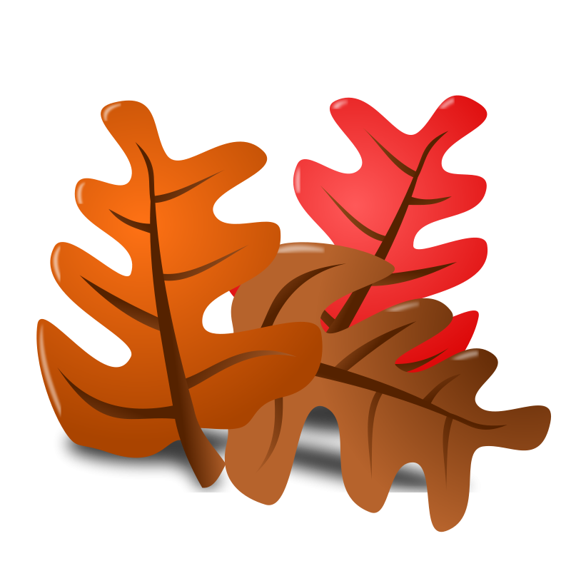 Thanksgiving Png Picture Transparent PNG Image