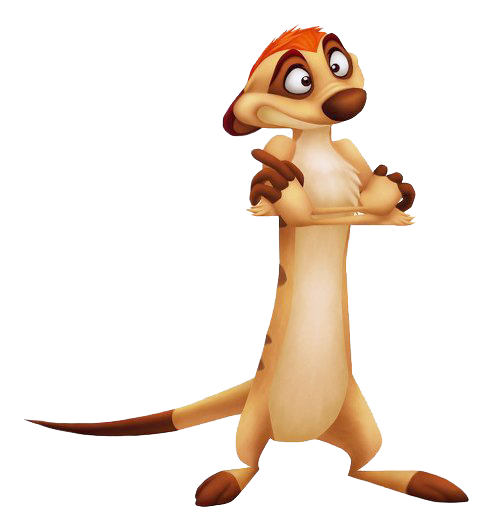 The Lion King Photo Transparent PNG Image