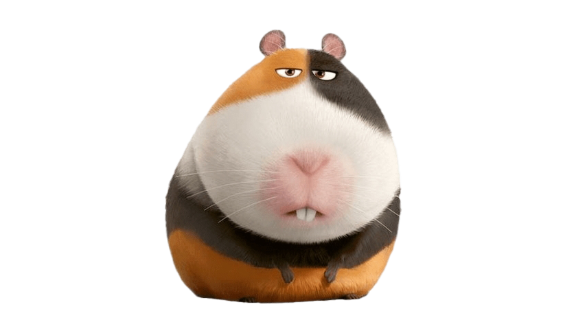 Of The Life Secret Pets Transparent PNG Image