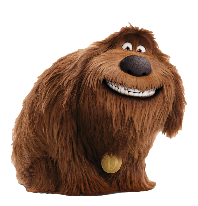 Of The Life Secret Pets Transparent PNG Image