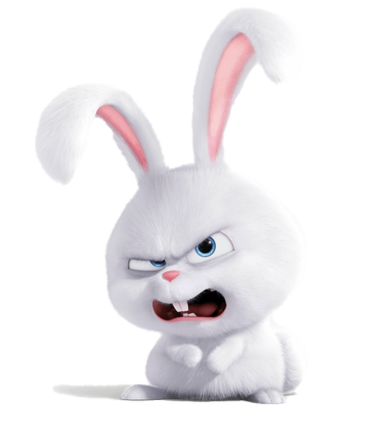 Life Pets Of Snowball Secret Rabbit The Transparent PNG Image