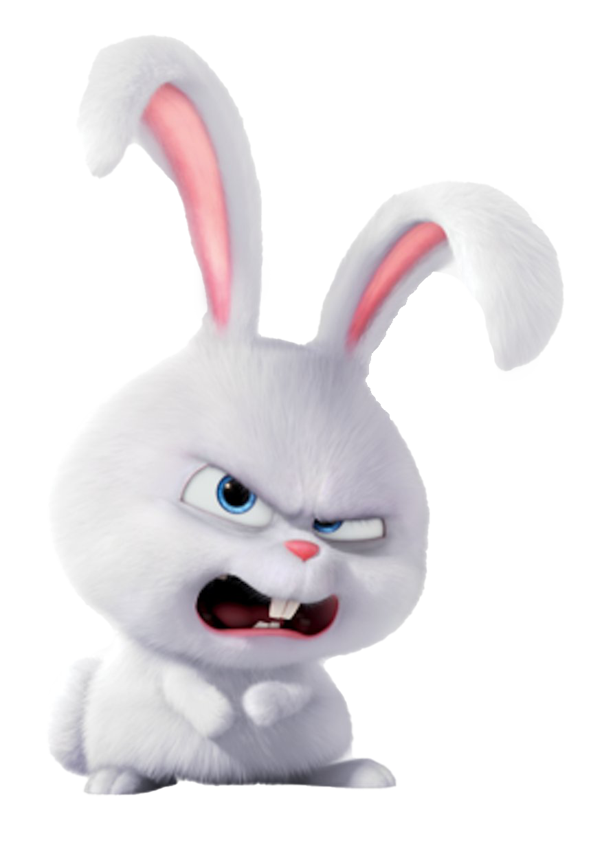 Life Pets Of Snowball Secret Rabbit The Transparent PNG Image