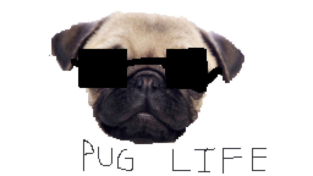 Pug Life Clipart Transparent PNG Image