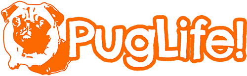 Pug Life Hd Transparent PNG Image