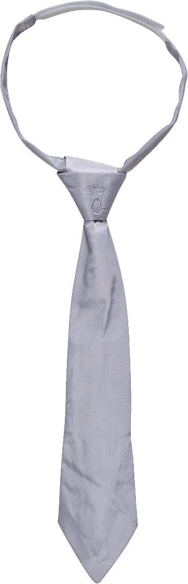 Tie Png Image Transparent PNG Image