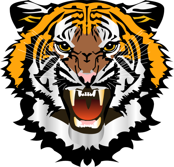 Tiger Face File Transparent PNG Image