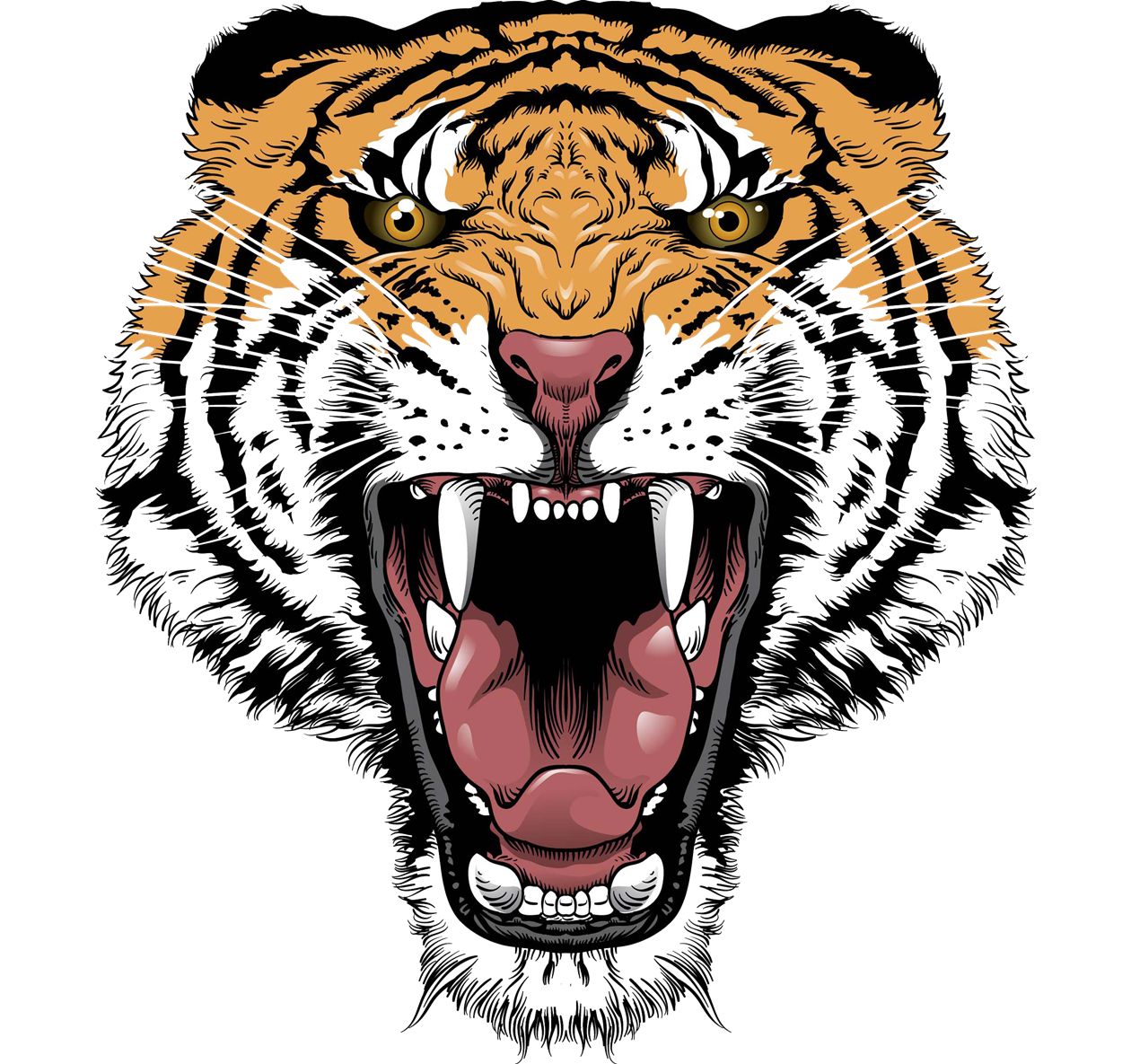 Tiger Face Transparent Transparent PNG Image