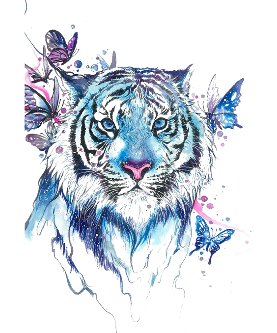 Tiger Butterfly Abziehtattoo Flash Drawing Free Transparent Image HD Transparent PNG Image